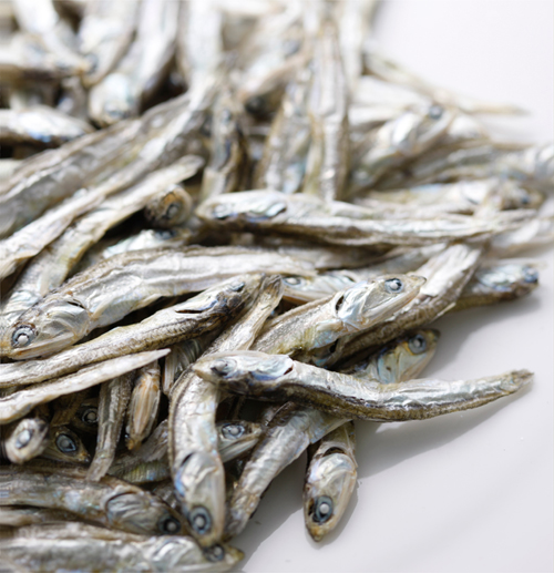 浮島いりこ（煮干し）